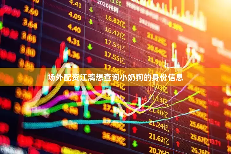 场外配资江漓想查询小奶狗的身份信息